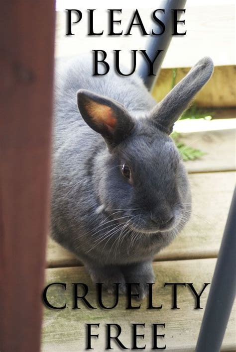 Erleben sie günstige preise und viele kostenlose extras wie proben & zeitschriften. Save Us.... | Cruelty free, Pledge, Nature inspiration