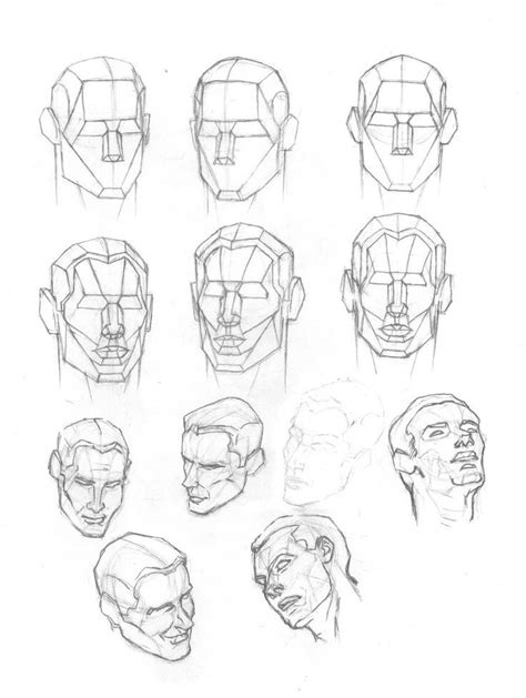 Head Structure Drawing At Free For