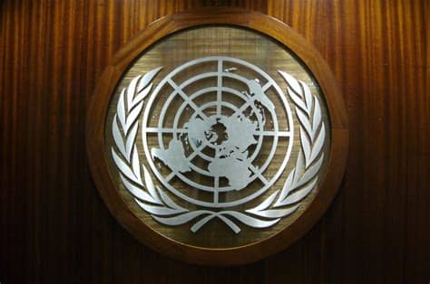 La declaración universal de los derechos humanos (dudh) es un documento adoptado por la asamblea general de las naciones unidas en su resolución 217 a (iii), el 10 de diciembre de 1948 en parís, que recoge en sus 30 artículos los derechos humanos considerados básicos. Café recién molido: Como funciona la ONU