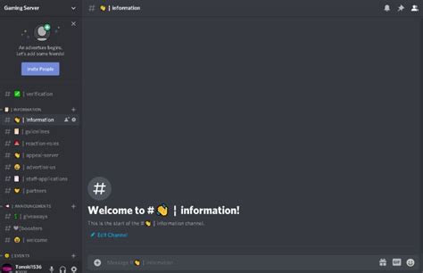 Make Professional Discord Servers By Tombourne666 Fiverr