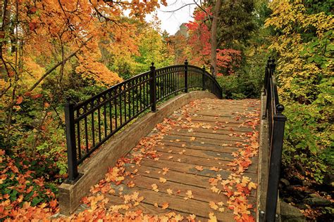 Autumn Walkway Bridge Photograph By James Eddy Fine Art America