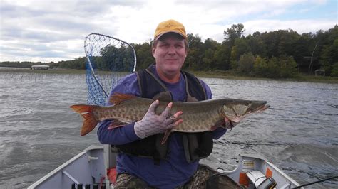 The Great Moose Lake Resort Fisherman Of 2016 Moose Lake Resort