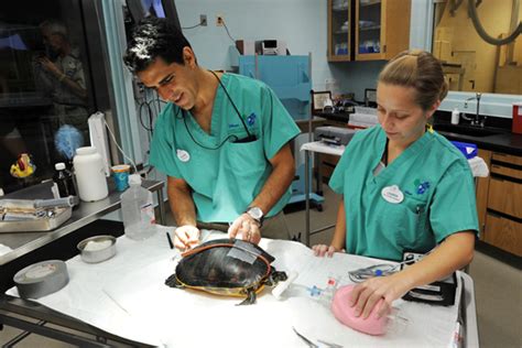 Animal Kingdom’s Veterinary Treatment Room Reopens
