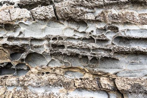 Texture Of Porous Stones On The Beach Nature Natural Phenomena Brown