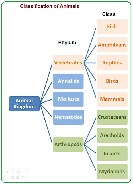 4 Animal Kingdom Classification Biology Notes For Igcse 2014 In