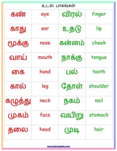 Raise your arms and surrender. Tamil Letters Worksheet Nice preschool worksheets for children. | Tamilų kalba | Kindergarten ...
