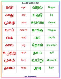 Tamil language (தமிழ்) parts of the body resources thema haarausfall (tamil) tamil learn human body parts Tamil Alphabet Chart | For Meeee | Sprache