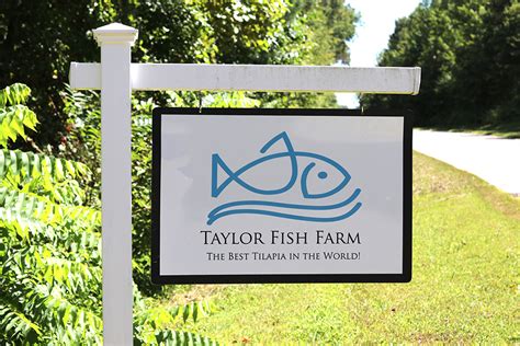 Click on the tree to put a lot of money. A Visit to Taylor Fish Farm - Weaver Street Market
