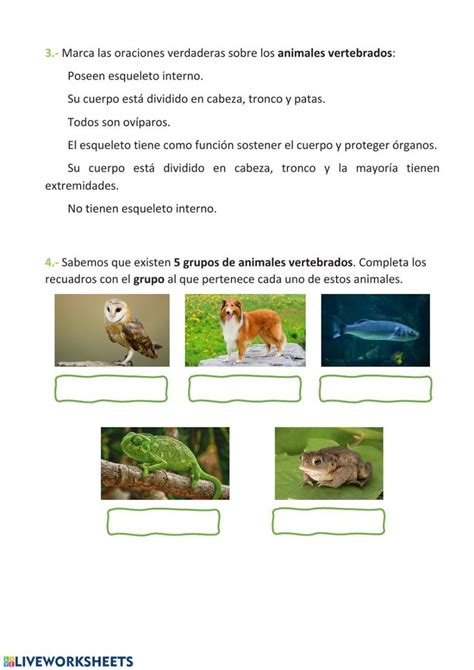 Ejercicio Interactivo De Clasificación Animales Vertebrados E