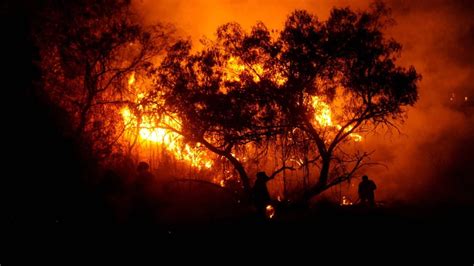 Un hombre apaga las llamas del incendio dixie al sur de janesville en el condado de lassen, california, el martes, 17 de. 31 por ciento de 5 mil incendios forestales en 2019 fueron ...
