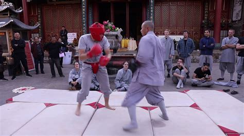shaolin temple yunnan kung fu department sanda free fighting training 3 youtube
