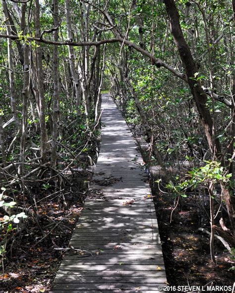 Everglades National Park Sandfly Island Trail Bringing You America