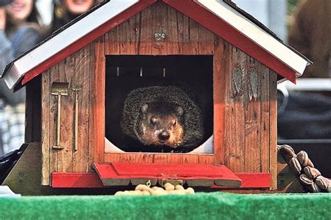 Alabama's groundhog smith lake jake. Anthem Opinions: Let Us Entertain You