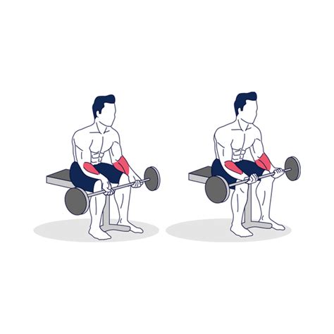 Seated Barbell Wrist Curl Simply Fitness