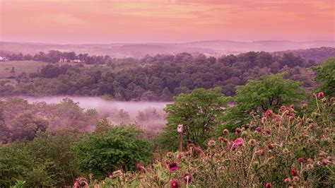 Trexler Nature Preserve Low Lying Fog Landscape Photograph By Jason