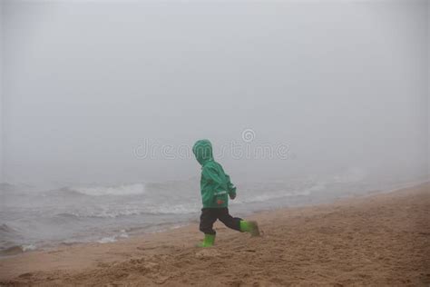 Baby Walks In The Fog On The Shore Of The Lake Stock Image Image Of