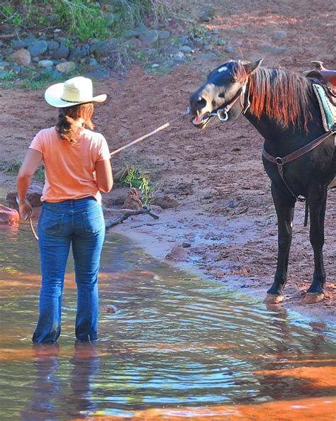 'you can lead a horse to water but you can't make him drink' is a proverb which means that you can give someone. You can lead a horse to water, but you can't make it drink ...