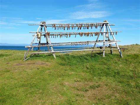 Fishing And Farming In Iceland Historical And Current Practices