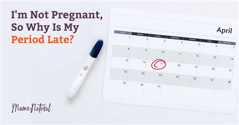 Im Not Pregnant So Why Is My Period Late Mama Natural