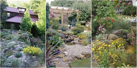 The christmas cactus can only take the exact amount of water it needs. 6 Best Rock Garden Ideas - Yard Landscaping with Rocks