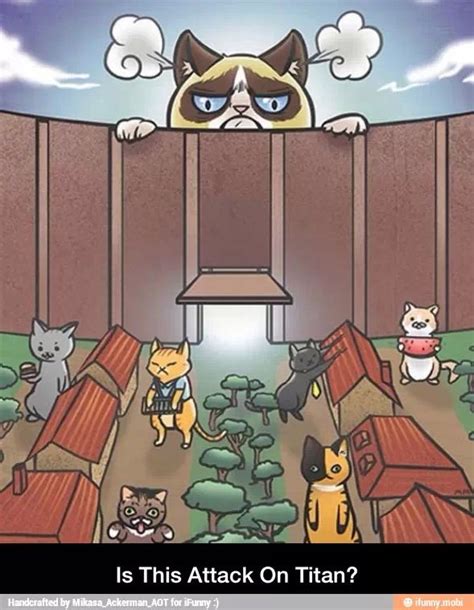 Grumpy Cat Attack Attack On Titan Grumpy Cat Anime