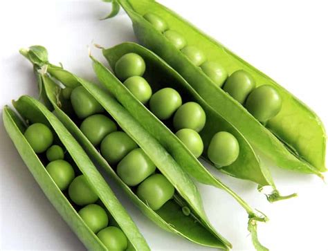 How do you cook english peas in a pod? Peas: Kitchen Basics - Harvest to Table