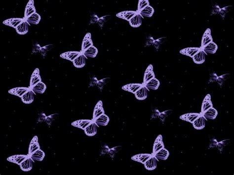 Purple Butterfly Wallpaper Nawpic