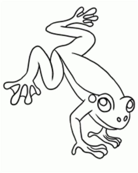 Tree Frog Coloring Pages | Frog coloring pages, Tree coloring page