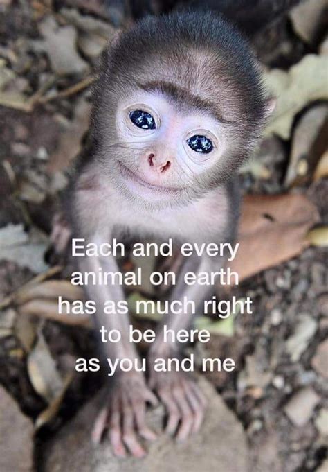 Each and every animal on earth has as much right to be ...