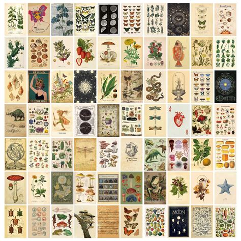Buy 70pcs Vintage Wall Collage Kit Aesthetic Pictures Botanical