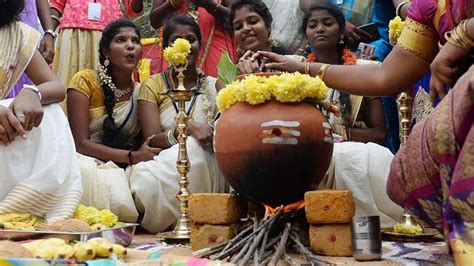 4 Days Of Pongal Celebration Rituals Food And More The Channel 46