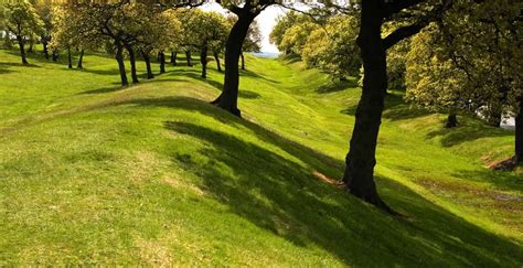 Sep 17, 1982 · pink floyd: The Antonine Wall, Scotland
