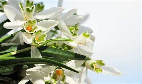De 1 martie, gânduri curate împletite din iubire, alături de un sincer „la multi. Felicitari de 1 Martie. Cele mai frumoase 50 de urari si ...