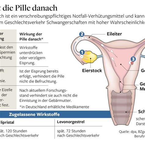 Die pille danach der älteren generation enthält den wirkstoff levonorgestrel zuvor bekam man die pille danach nur nach ärztlicher verschreibung. 59 Top Pictures Wann Muss Man Die Pille Danach Nehmen ...