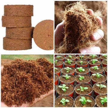 Pengeluar coklat amerika, ghiradelli, menawarkan pelbagai produk koko yang tinggi. Cara Membuat Cocopeat Sendiri & Aplikasinya Untuk Tanaman ...