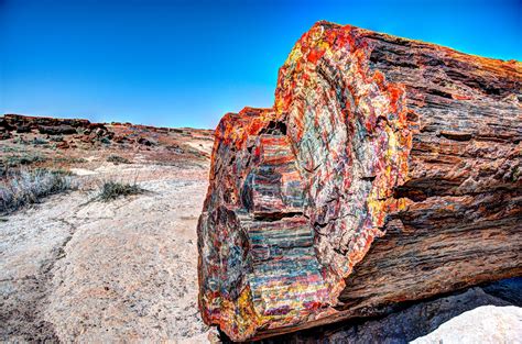 Visit Arizona’s Petrified Forest National Park - Boing Boing