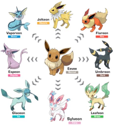 Now, let's cover those evolution groups i mentioned. Pokemon Go Hints and Tips: The Eevee Evolution Secret ...