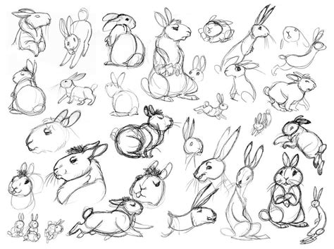 Practicing Drawing Rabbits Lots Of Reference Photos Were Used Some Of