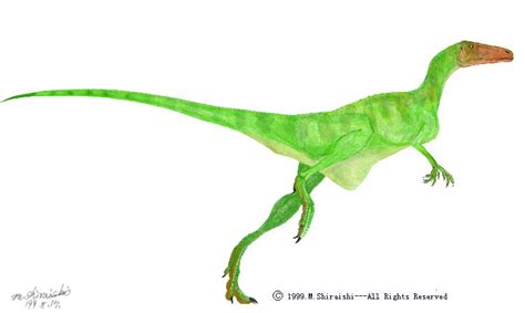Staurikosaurus Devon Dink Dino Wiki Fandom Powered By Wikia