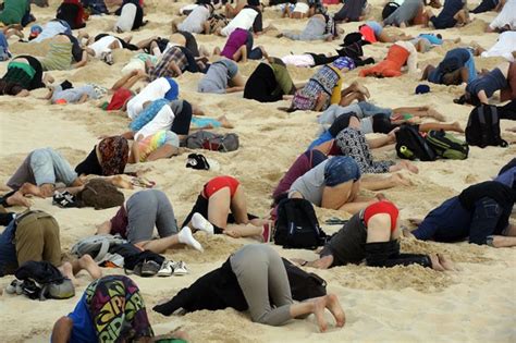 350 Português Cabeça Na Areia A Nossa Mensagem Para Tony Abbott Em