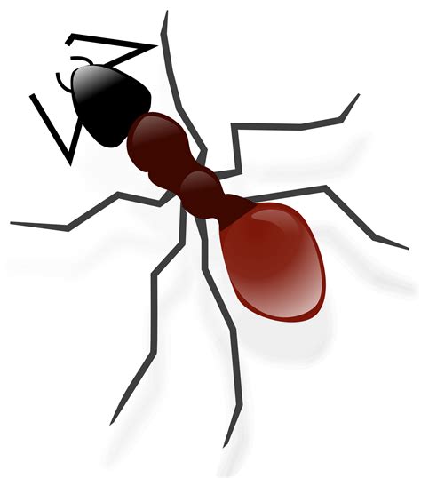 Vector Ant Transparent Background Png Mart