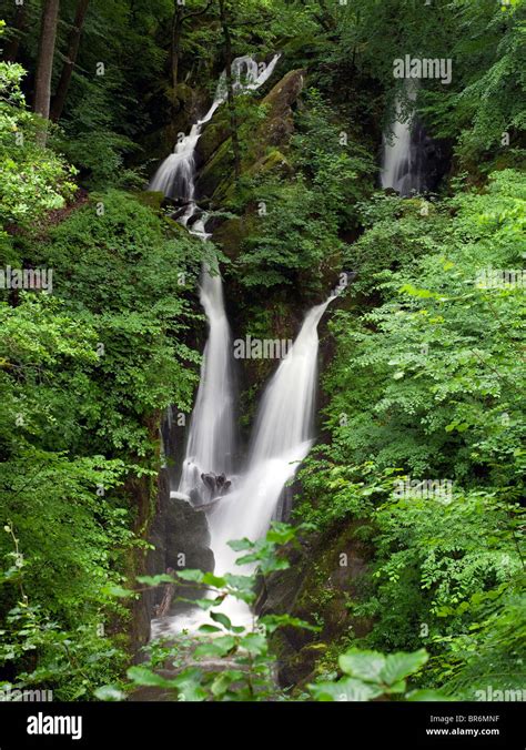 Stockghyll Force Waterfalls Near Ambleside In Summer Cumbria Lake