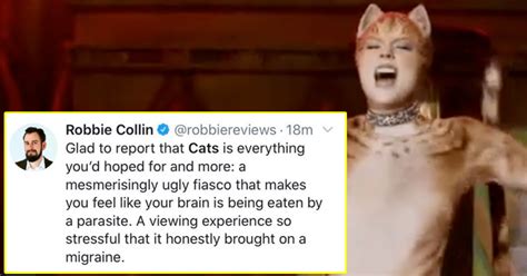 Denamarin should only be used to treat cats and dogs. 21 Funny Reviews Of The Catastrophe That Is The New "Cats ...