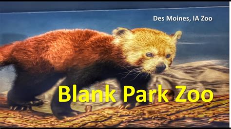 Blank Park Zoo Des Moines Ia A 4k Zoo Walking Tour Youtube