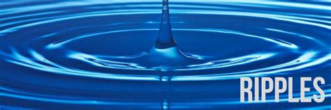 The crypto experts believe that xrp is the cryptocurrency that will show a lot of bullish signs in 2021. ripple