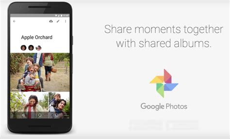 Google photos and videos download: Google Photos launches shared albums