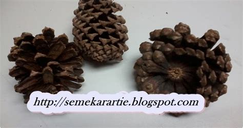 Kalau rajin amal, tak perlu lagi jamu atau majun. Nenas Batu cukup banyak khasiatnya | Syiela