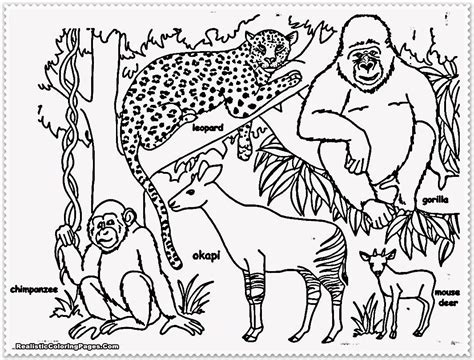 Jungle Animals Coloring Pages Free Coloring Home