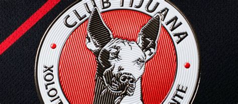 Plus size 2021 club tijuana red alternative jersey men's jersey xolos de tijuana special edition dia de los muertos original halloween shirt. Diseño Perrón: Tercera Camiseta Xolos de Tijuana 2018