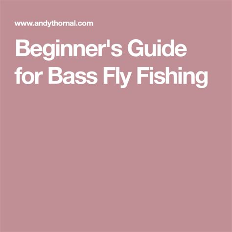Beginners Guide For Bass Fly Fishing Fly Fishing Beginners Guide